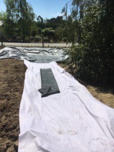 DIY Garden stream geo tetile underlay