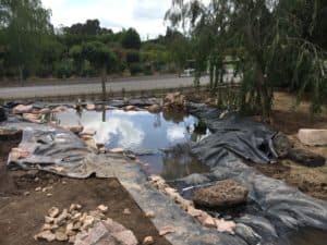 Wildlife Pond under construction