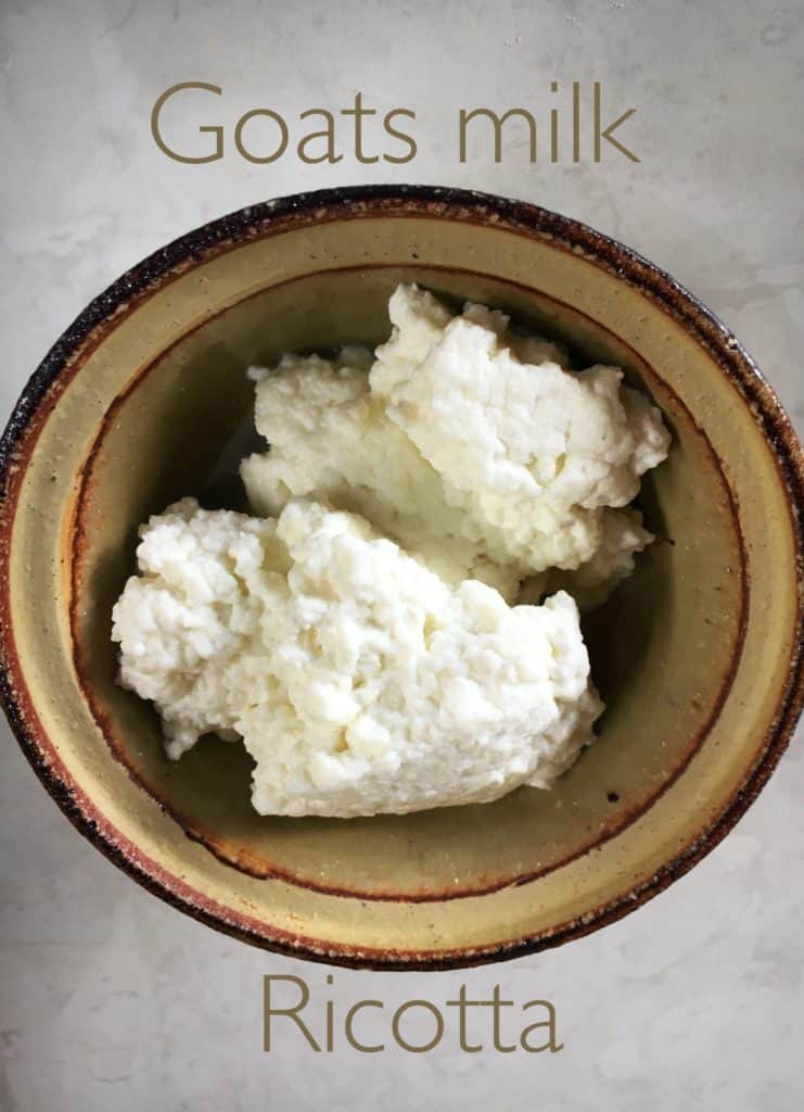 Goats milk ricotta