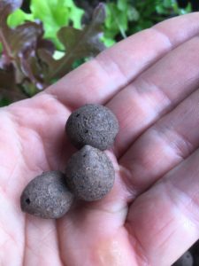 Aquaponic clayballs