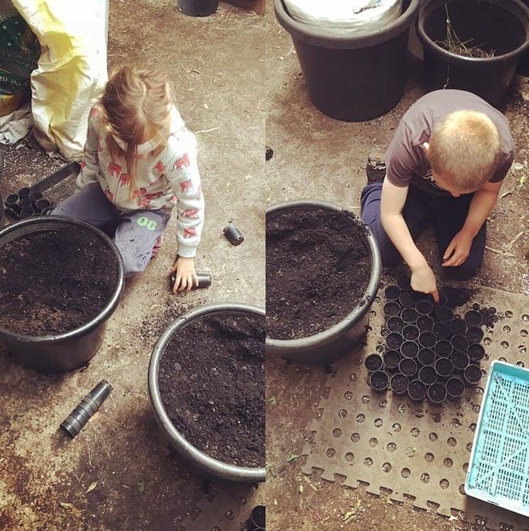 Kids planting seeds