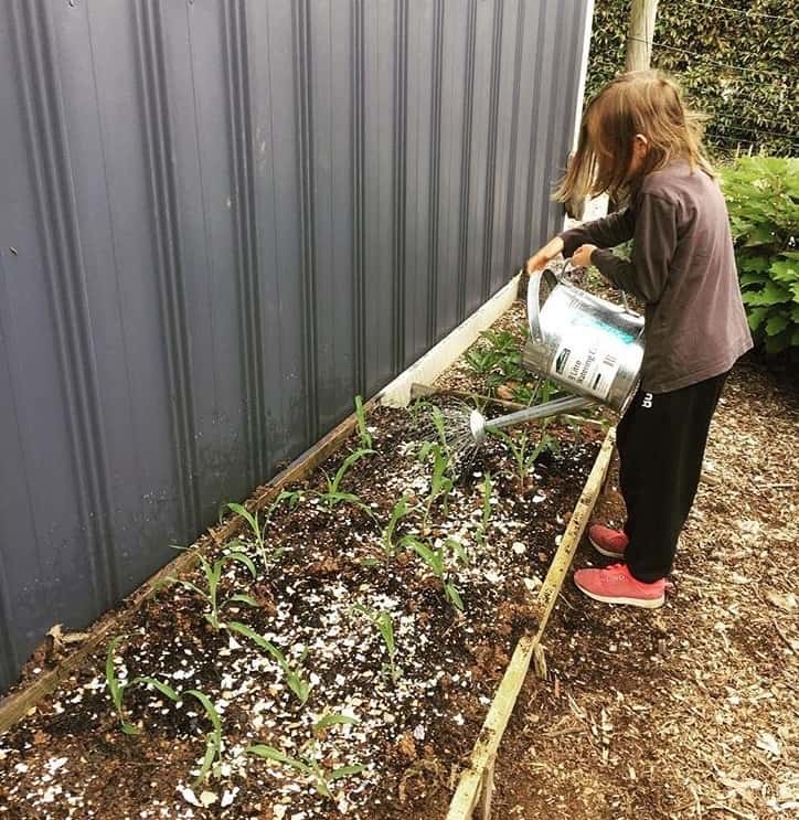 4 plants for kids to grow in spring 4 plants for kids to grow in spring