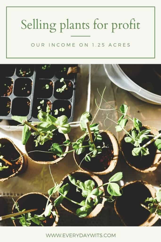 Income on 1.25 acres-selling plants for profit