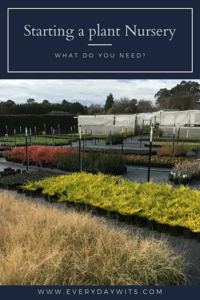 Starting a plant nursery