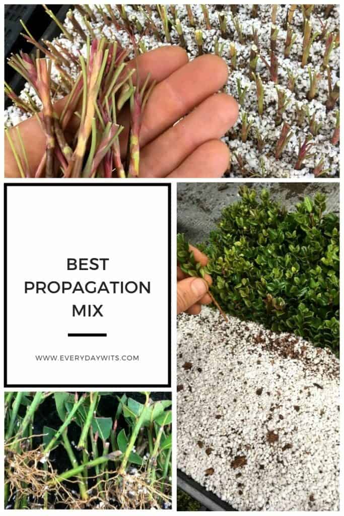 Best propagation mix